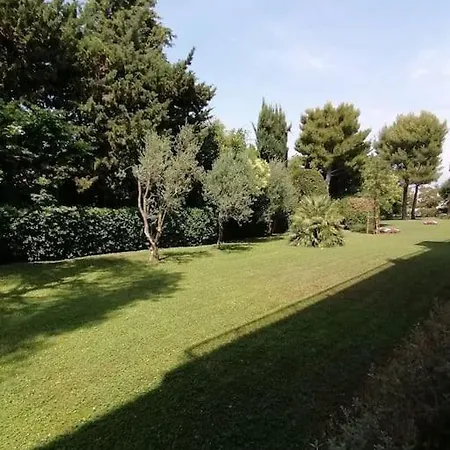 Avec Piscine De Copropriete Apartament Antibes
